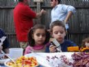 Summer BBQ's