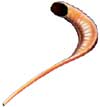 Rosh Hashanah Schedule